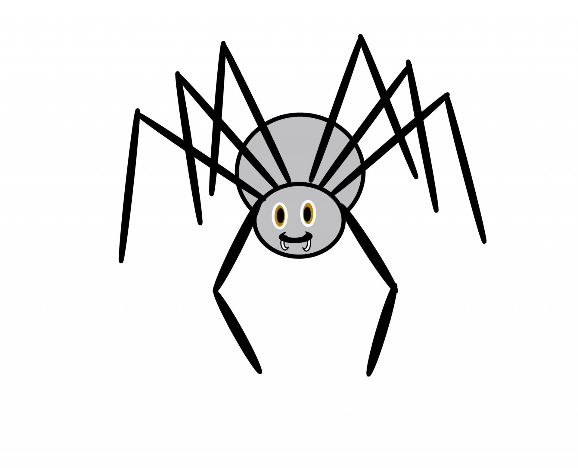 spider