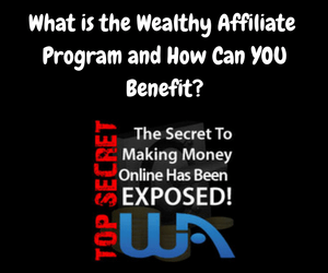 What is the Wealthy Affiliate Program