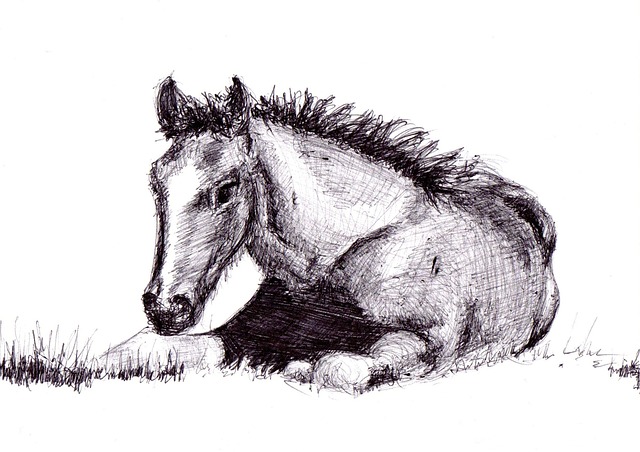 horse