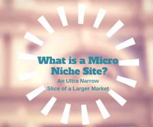 What is a Micro Niche Site