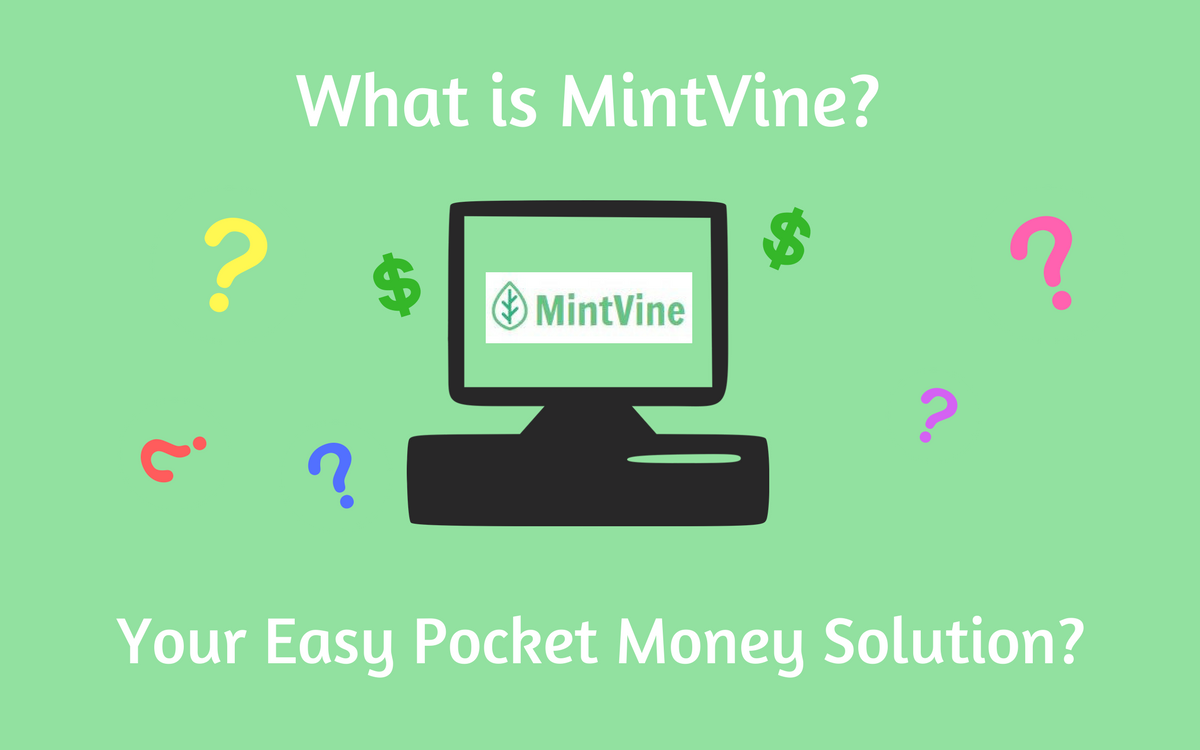 What is MintVine