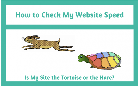 How to Check My Website Speed
