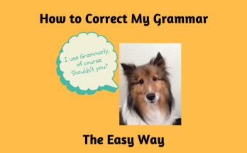 How to Correct My Grammar