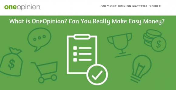 What Is OneOpinion