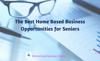 Home Based Business Opportunities for Seniors
