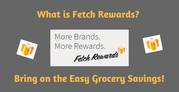What is Fetch Rewards
