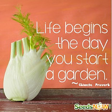 Seeds Now - Gardening Affiliate Program